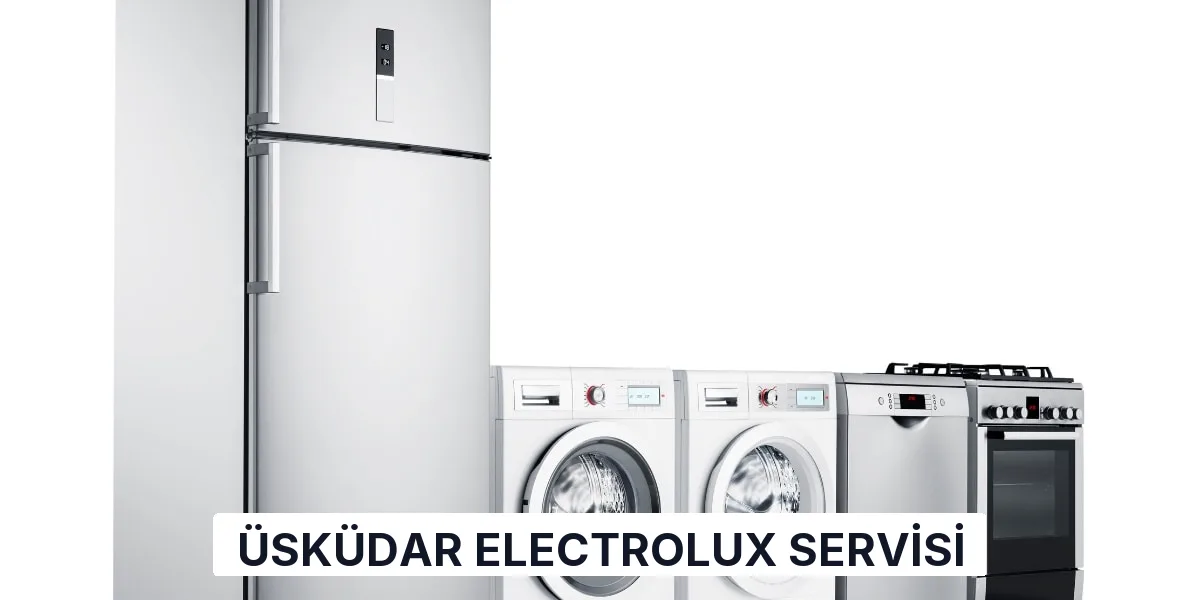 Üsküdar Electrolux Servisi