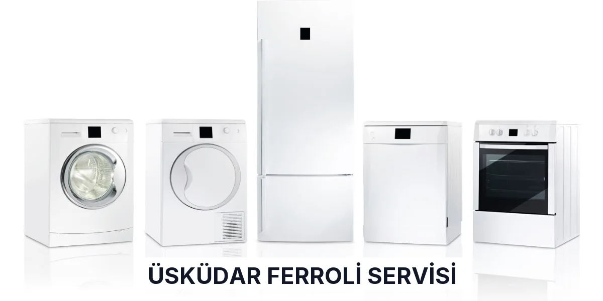 Üsküdar Ferroli Servisi
