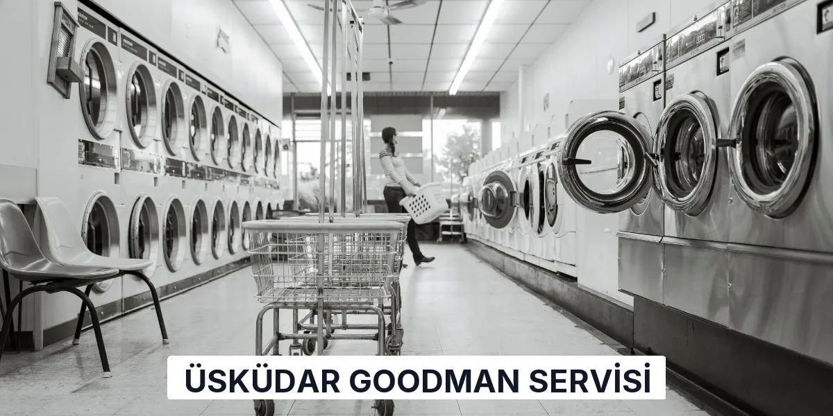 Üsküdar Goodman Servisi