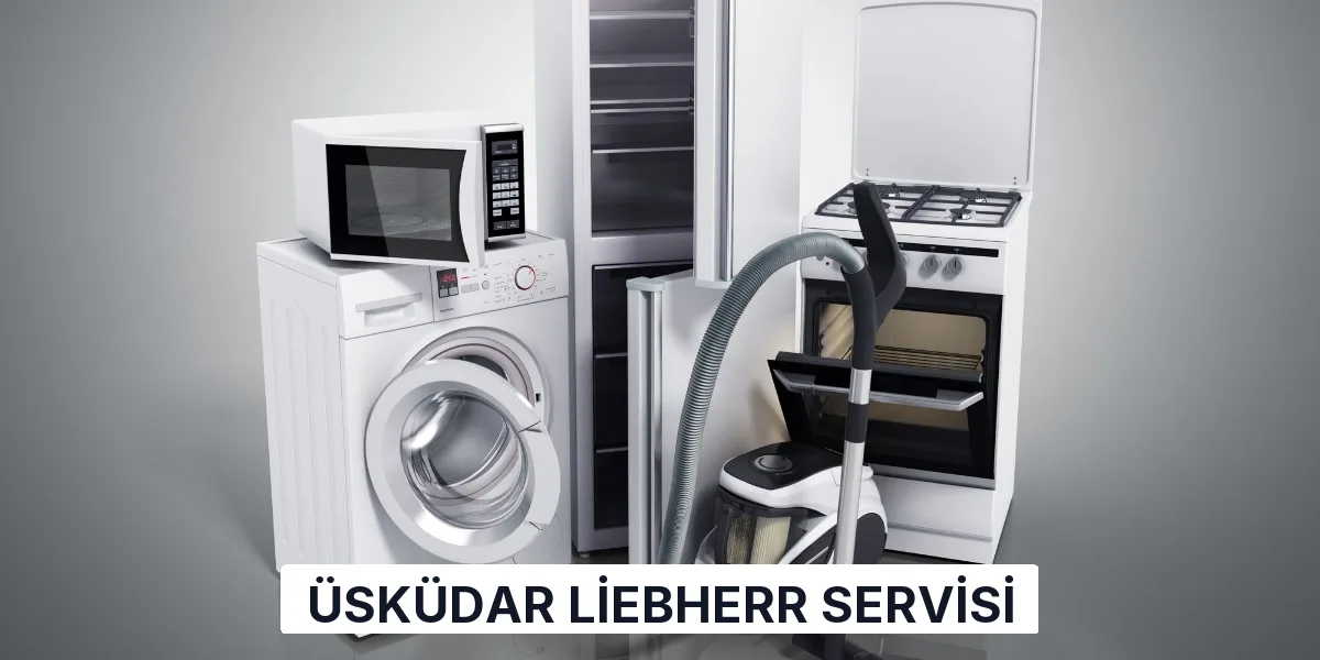 Üsküdar Liebherr Servisi